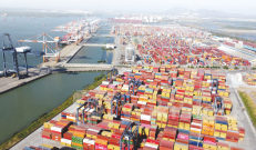 Hơn 50.000 lượt tàu biển qua các cảng biển Việt Nam