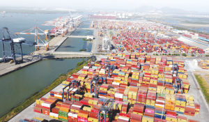 Hơn 50.000 lượt tàu biển qua các cảng biển Việt Nam