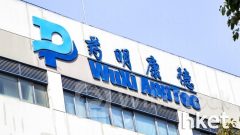 分析｜藥明康德中期盈利、收入「雙降」下 為何績後股價造好？