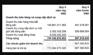 LDG: Báo lỗ hơn 269 tỷ đồng, ghi nhận 7 quý liên tiếp lỗ